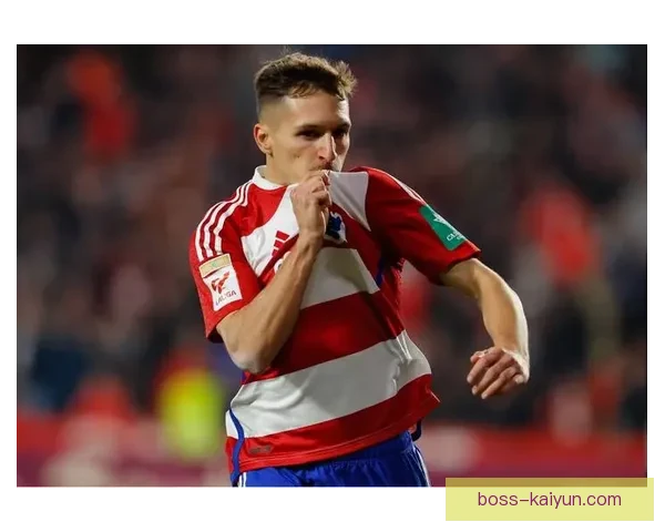 德甲南大王表现稳健，继续巩固联赛竞争力与领先地位